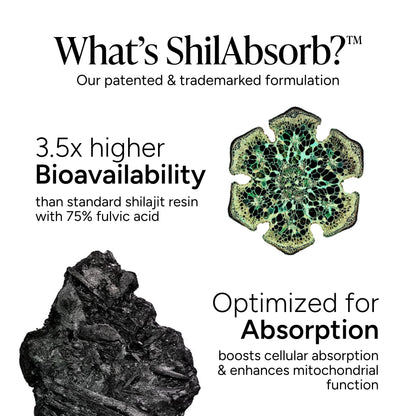 Peak Male Nutrition™ Alpha Gummies